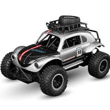 Load image into Gallery viewer, 25km/H Rc Car
