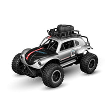 Load image into Gallery viewer, 25km/H Rc Car